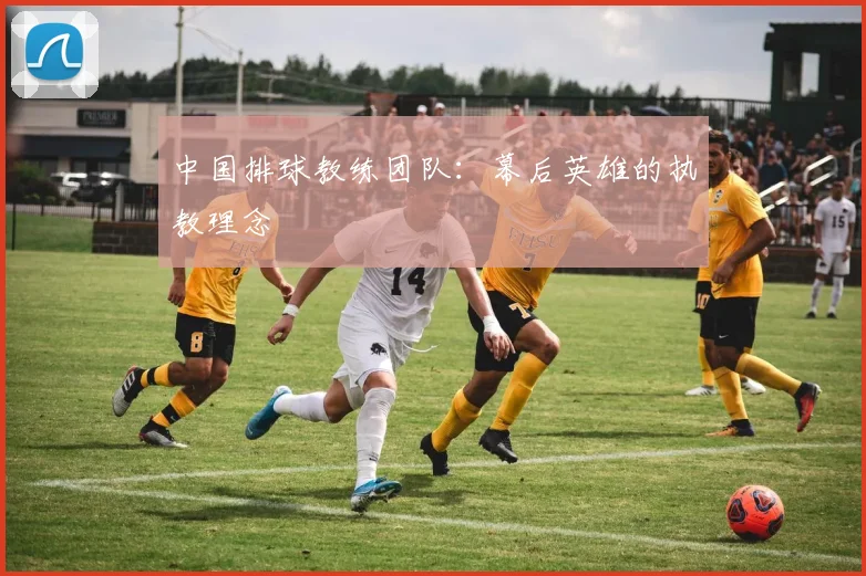 中国排球教练团队：幕后英雄的执教理念