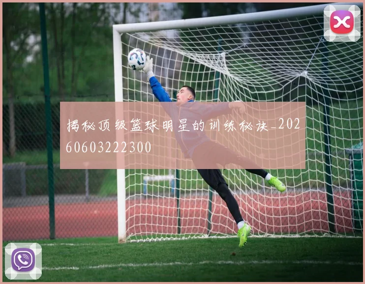 揭秘顶级篮球明星的训练秘诀_20260603222300